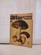 Atlas grzybów leśnych Henryk. Orłoś