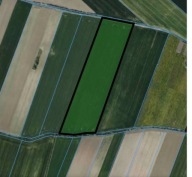 Działka, Strzelce, Kutnowski, 47171 m²