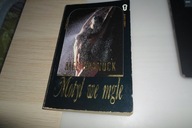 Motyl we mgle Mel Branuck