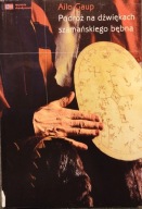 Podróż na dźwiękach szamańskiego bębna - Ailo Gaup