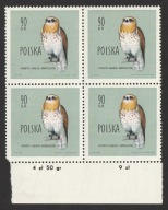POLSKA - KRÓTKOSZPON - CIRCAETUS GALLICUS - 1960 - CZYSTE **