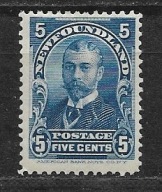 Nowa Fundlandia x Q723 JV 50funtów