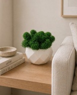 Doniczka z mchem chrobotek dekoracja wnętrza boho mini