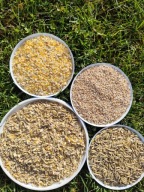 Pasza mieszanka dla kur 20 kg karma bez chemii 25 KG 15KG KUKURYDZA PSZENIC