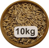 Owies Ozimy, Biały, Polski, Od Rolnika 10kg, 2025r