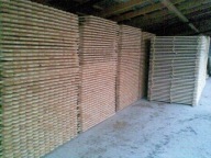 Sztachety ogrodzeniowe płot