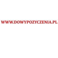 Domena internetowa dowypozyczenia.pl