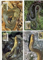 A41589)WWF-Maximum Karty Gady i Plazy: Moldavien 50 - 53