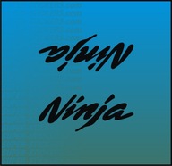 2x Naklejka Znaczek Logo NINJA dla Kawasaki ZX 6R 9R 10R, Kolory, Rozmiary