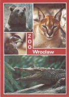 WROCŁAW - ZOO - NIEDŹWIEDŹ BRUNATNY - KARAKAL - JASTRZĄB - KROKODYL NILOWY