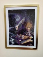 Harry Potter - sowa - Haft Diamentowy