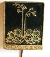 Odznaka - Rosiczka