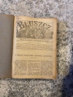 Pismo Bluszcz cały rocznik 1925