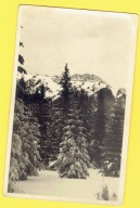 Pocztówka - 5 - Karta Pocztowa