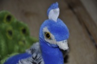 maskotka pluszak piękny paw Nature Planet 24 cm