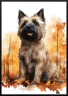 A2 59,4x42 PLAKAT OBRAZ PIES CAIRN TERRIER TERIER JESIEŃ AKWARELA