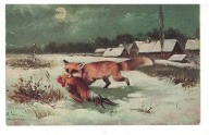 04-AU68- Łowiectwo- Lis z kurą, 1913r