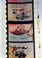 KOLOROWA KROWA bajka rzutnik UNIKAT