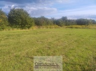 Działka, Falenty, Raszyn, Pruszkowski, 1000 m²