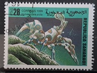 Ryby (kas) - luzak - do uzupełnień 13/5