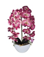 Sztuczny Storczyk gumowy w Doniczce Dwa Pędy Orchidea Dwa kolory Bordowy