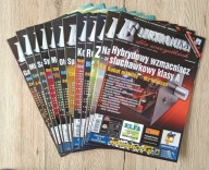 Elektronika dla Wszystkich rocznik 2010