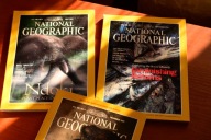 National Geographic. Angielski. 1995. July. November.December.