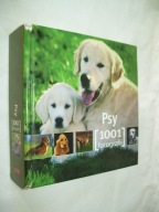 PSY 1001 FOTOGRAFI