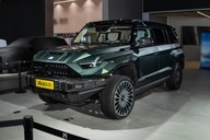 Dongfeng M-Hero 917 M-Hero 917 Jiaolong Armor Extended Edition 2025 Auto P