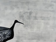 Obraz ręcznie malowany: Dostojny Ibis Kasztanowaty, akryl na płótnie