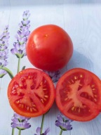 Pomidor Legend samokończacy wczesny nasiona kolekcjonerskie