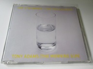 JOE STRUMMER & THE MESCALEROS – Tony Adams (The Morning Sun)