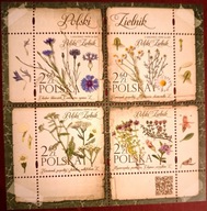 Fi. 4783 - 4786 bl. 307 Polski Zielnik.