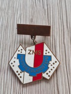 ZMS MŁODZIEŻ DLA POSTĘPU 3