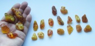 Bursztyny bałtyckie - poler 53 gr - 21 szt. - zobacz