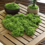 SZTUCZNY MECH DEKORACYJNY KĘPKI MCHU OZDOBA DO DEKORACJI ZESTAW 2 SZTUKI