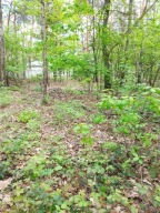 Działka, Sękocin Las, Raszyn, Pruszkowski, 2100 m²