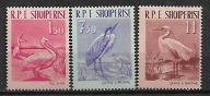 ALBANIA ptaki Mi 630-2**