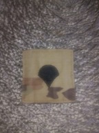 Naszywka US Army OCP