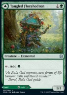 Tangled Florahedron "ZNR" =stdt=