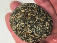 Skamieniałe koralowce hiperyt eratyk