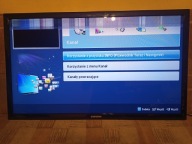 TV Samsung UE40D5003BW 40 cali - paski na matrycy