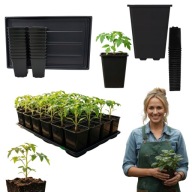 DONICZKI DO ROZSADY 9x9x13 0,8L Z TACKĄ 60x40 PRODUKCYJNE KWADRATOWE
