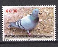 ONZ misja Kosovo 2006, zn. fauna, ptaki, gołąb