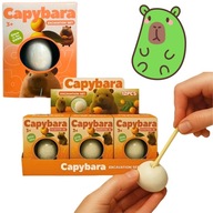 KAPIBARA SKAMIENIAŁOŚCI SKAMIENIAŁOŚĆ JAJKO WYKOPALISKA MAŁY ARCHEOLOG