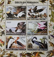 *T.0987*mA ARKUSIK FAUNA Ptaki łowne ornitologia, ptaki Johna Audubona