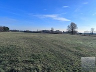 Działka, Borucice, Grabów, Łęczycki, 21800 m²