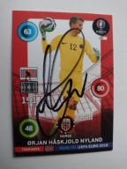 Karta panini autograf Norwegia Nyland Road to Euro 2016
