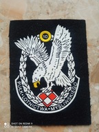 Pułk Lotnictwa Myśliwskiego