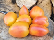 Pomidor Sunkissed Peach dwarf nasiona kolekcjonerskie